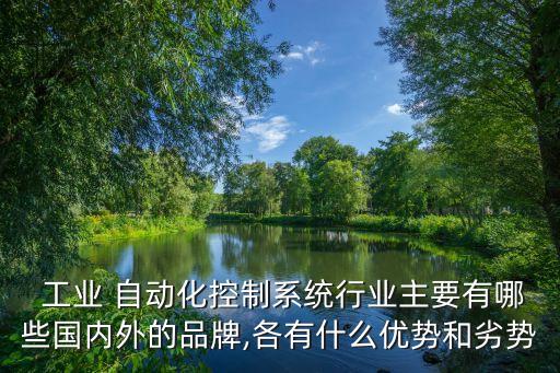  工業(yè) 自動化控制系統(tǒng)行業(yè)主要有哪些國內(nèi)外的品牌,各有什么優(yōu)勢和劣勢