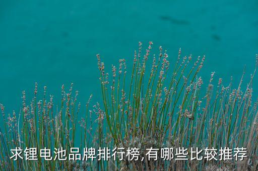 求鋰電池品牌排行榜,有哪些比較推薦