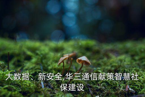 大數(shù)據(jù)、新安全,華三通信獻(xiàn)策智慧社保建設(shè)