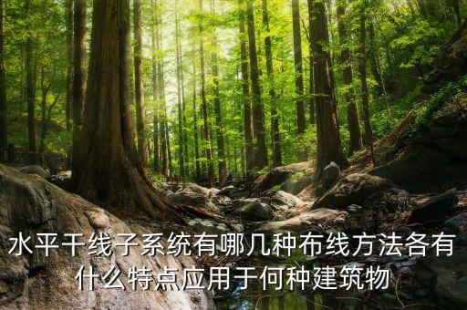 水平干線子系統(tǒng)有哪幾種布線方法各有什么特點應(yīng)用于何種建筑物
