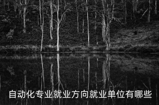 軟件公司自動化崗位有哪些
