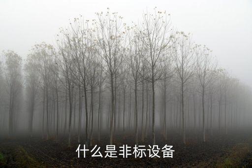 什么是非標設備