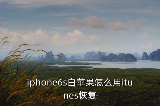 iphone6s白蘋果怎么用itunes恢復(fù)