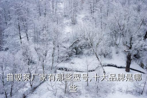 自吸泵廠家有那些型號,十大品牌是哪些