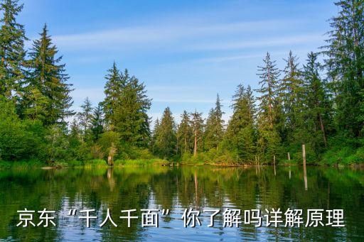 京東 大數(shù)據(jù) 應用,什么是京東千人千面?詳解原理