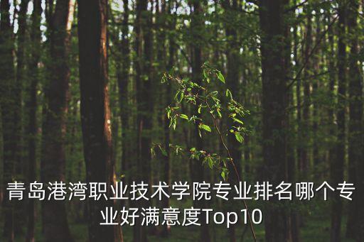 青島港灣職業(yè)技術(shù)學(xué)院專業(yè)排名哪個專業(yè)好滿意度Top10