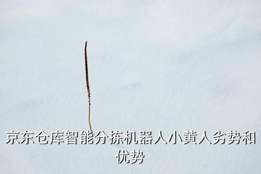 分揀機(jī)器自動(dòng)化設(shè)備,快遞自動(dòng)分揀系統(tǒng)需要哪些設(shè)備?