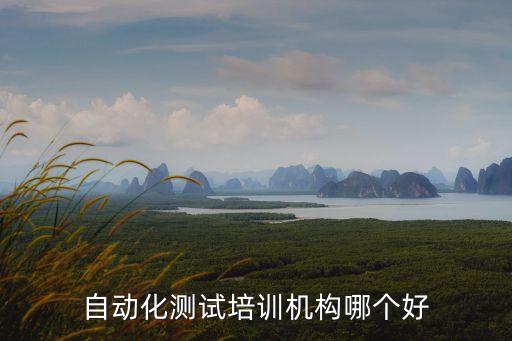 自動化測試培訓機構(gòu)哪個好