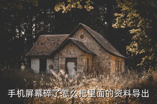 手機屏幕碎了怎么把里面的資料導(dǎo)出