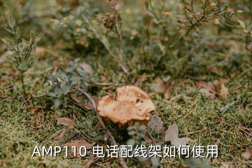 電話配線架,電話配線架怎么打線?