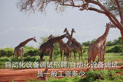 溫州自動(dòng)化設(shè)備調(diào)試招聘,自動(dòng)化設(shè)備調(diào)試員一般工資多少