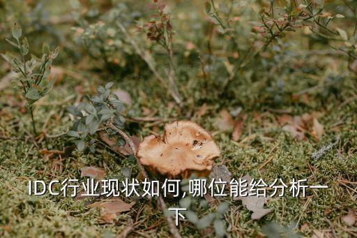 IDC行業(yè)現(xiàn)狀如何,哪位能給分析一下