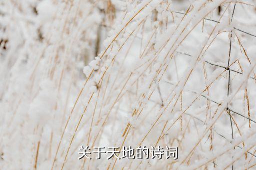 何微