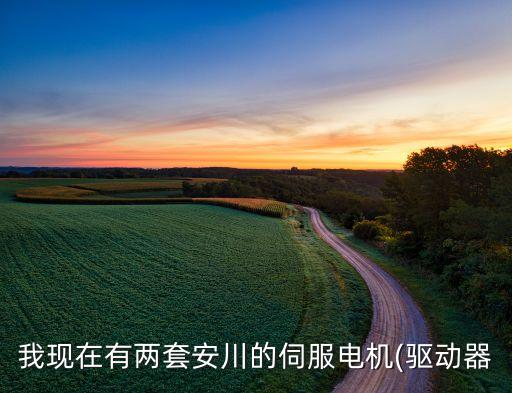 我現(xiàn)在有兩套安川的伺服電機(jī)(驅(qū)動器