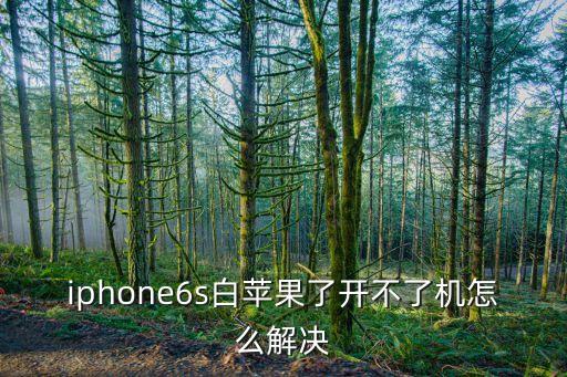 6s白蘋果 備份數(shù)據(jù),蘋果手機6s出現(xiàn)白蘋果怎么辦?