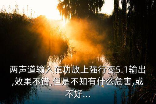 兩聲道輸入在功放上強行變5.1輸出,效果不錯,但是不知有什么危害,或不好...