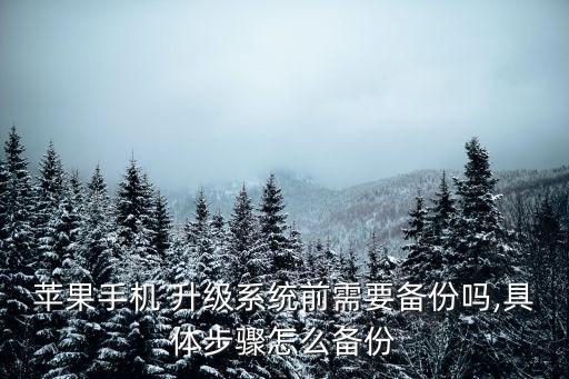 蘋果手機(jī) 升級(jí)系統(tǒng)前需要備份嗎,具體步驟怎么備份