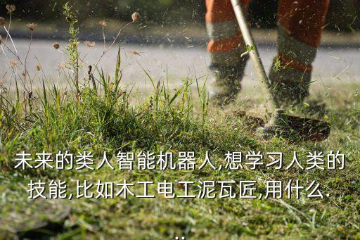 未來的類人智能機(jī)器人,想學(xué)習(xí)人類的技能,比如木工電工泥瓦匠,用什么...
