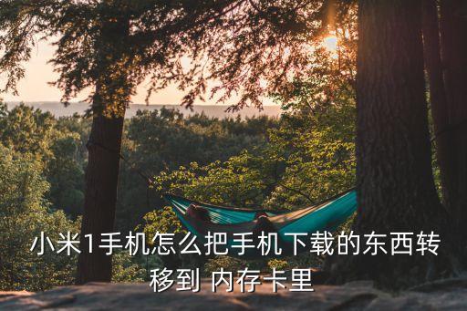  小米1手機(jī)怎么把手機(jī)下載的東西轉(zhuǎn)移到 內(nèi)存卡里