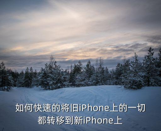 如何快速的將舊iPhone上的一切都轉(zhuǎn)移到新iPhone上