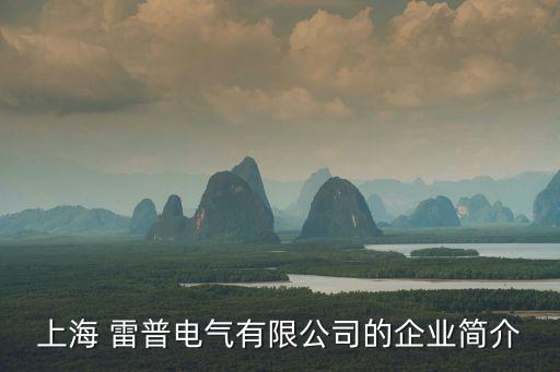 上海 雷普電氣有限公司的企業(yè)簡介