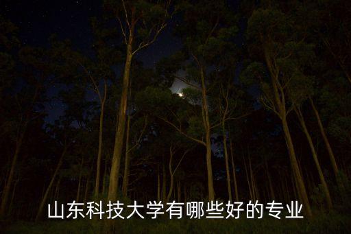 山東科技大學(xué)有哪些好的專業(yè)