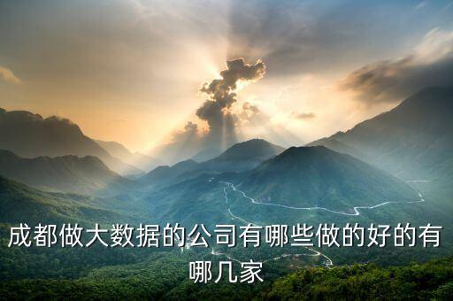 成都做大數(shù)據(jù)的公司有哪些做的好的有哪幾家