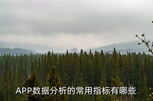 app推廣數(shù)據(jù)統(tǒng)計(jì)指標(biāo),數(shù)據(jù)分析:獲取用戶是推廣的第一步