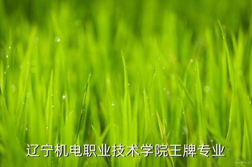 遼寧工程自動(dòng)化設(shè)備檢修,電氣工程及其自動(dòng)化專業(yè)