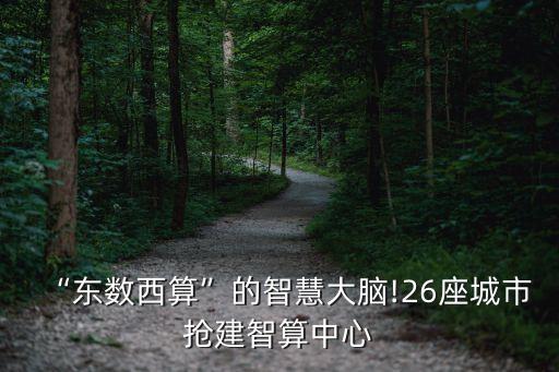 “東數(shù)西算”的智慧大腦!26座城市搶建智算中心