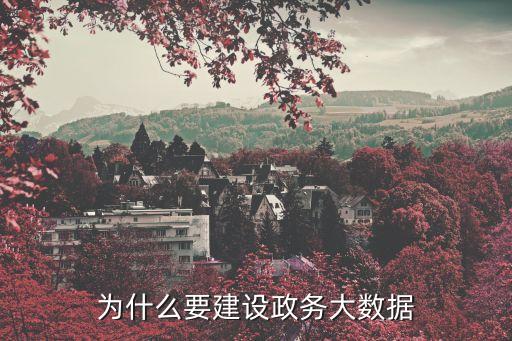 為何大數(shù)據(jù),大數(shù)據(jù)為什么這么火爆