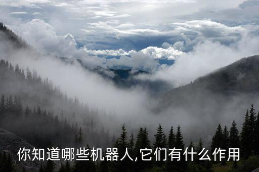 你知道哪些機(jī)器人,它們有什么作用