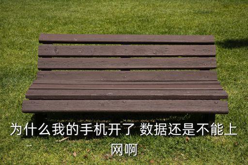 為什么我的手機(jī)開(kāi)了 數(shù)據(jù)還是不能上網(wǎng)啊