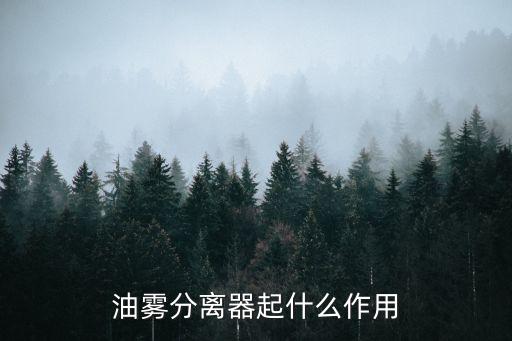 油霧分離器起什么作用
