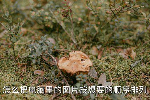 怎么把電腦里的圖片按想要的順序排列