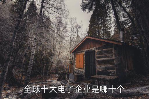 美國自動化平臺公司排名,自動化行業(yè)公司排名