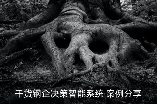 干貨鋼企決策智能系統(tǒng) 案例分享