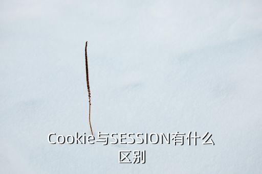 cookie與session區(qū)別