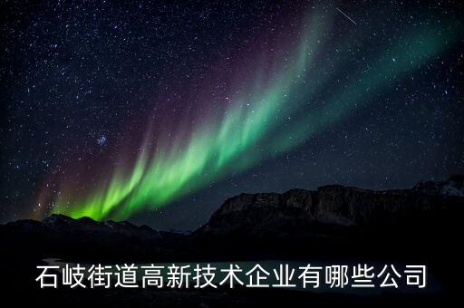 石岐街道高新技術(shù)企業(yè)有哪些公司