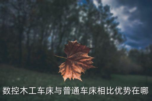 數(shù)控木工車床與普通車床相比優(yōu)勢在哪