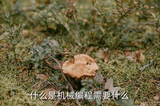 什么是機械編程需要什么