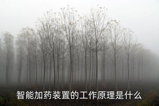 智能加藥裝置的工作原理是什么