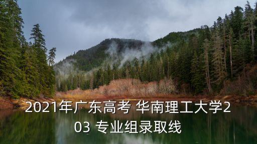 2021年廣東高考 華南理工大學(xué)203 專業(yè)組錄取線