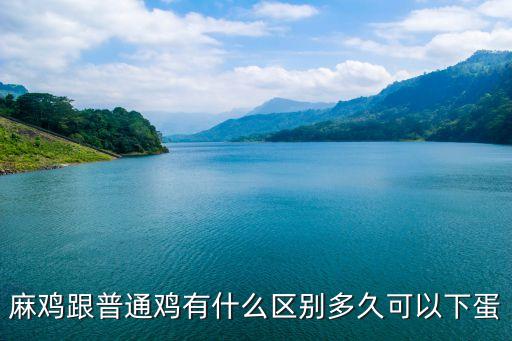 蘇州麻雞自動(dòng)化養(yǎng)殖設(shè)備制造商,麻雞怎么飼養(yǎng)?