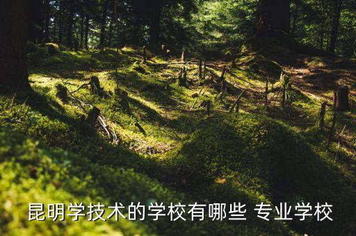  昆明學(xué)技術(shù)的學(xué)校有哪些 專業(yè)學(xué)校