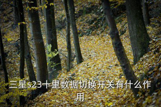三星s23十里數(shù)據(jù)切換開關(guān)有什么作用