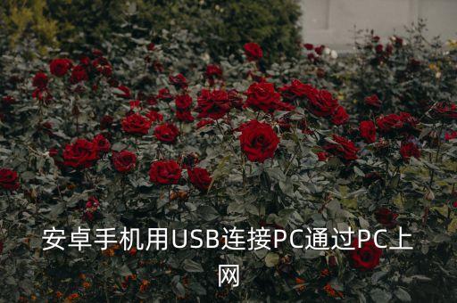 手機用數(shù)據(jù)線連接電腦上網(wǎng)軟件,手機用數(shù)據(jù)線怎么連接電腦?