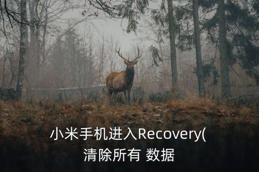  小米手機(jī)進(jìn)入Recovery( 清除所有 數(shù)據(jù)