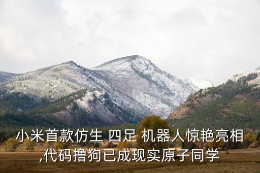 小米首款仿生 四足 機器人驚艷亮相,代碼擼狗已成現(xiàn)實原子同學