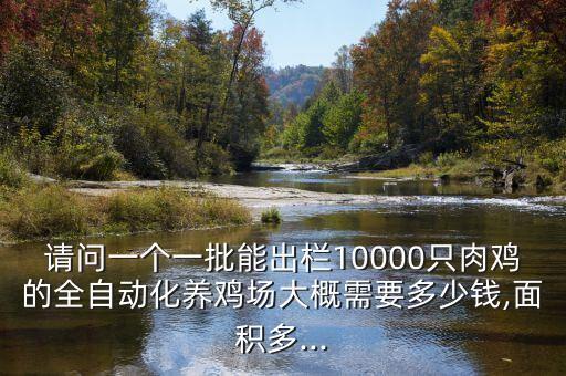 請問一個一批能出欄10000只肉雞的全自動化養(yǎng)雞場大概需要多少錢,面積多...